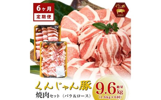 【毎月定期便】くんじゃん豚 焼肉セット(バラ・ロース)計9.6kg全6回【配送不可地域：離島】【4067077】