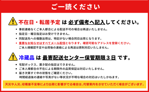 【先行予約/2025年発送】プレミアム沖縄フルーツセット(糸満市共通返礼品)