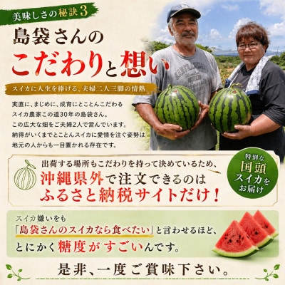 ã2027幎2æäžæ¬ããé æ¬¡çºéãå³¶è¢ããã®å¬ã¹ã€ã« 1ç(3.5ã4.5kg)ãé
éäžå¯å°åïŒé¢å³¶ãã1577664ã