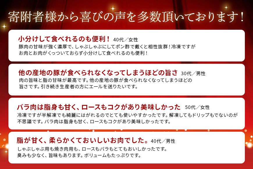 【12ヶ月定期便】「くんじゃん豚」しゃぶしゃぶセット800g（バラ・ロース）総量9.6kg