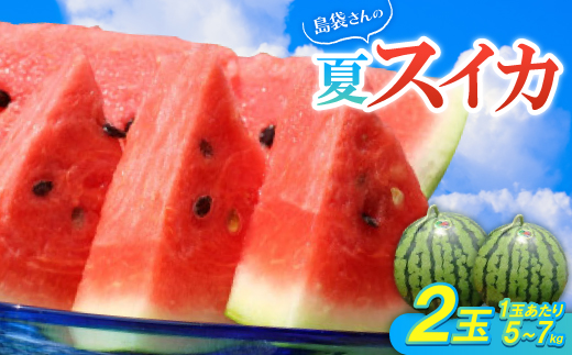 【先行受付・2026年8月中旬から順次発送】島袋さんの夏スイカ大玉 2玉(1玉5.0〜7.0kg)【配送不可地域：離島】【1628650】