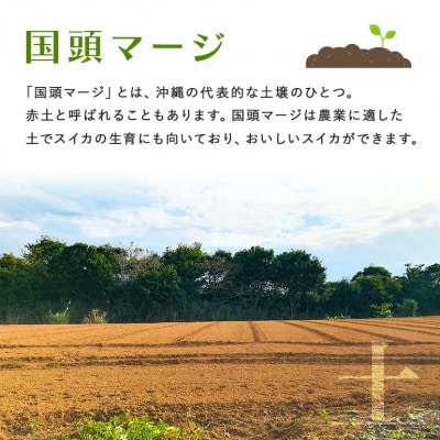 ã2026幎2æã3æé ã®çºéãå³¶è¢ããã®å¬ã¹ã€ã« 2ç(1çããã3.5ã4.5kg)ãé
éäžå¯å°åïŒé¢å³¶ãã1577666ã