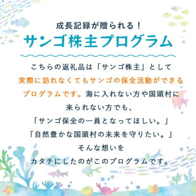 離れていても応援できる!国頭村の「サンゴ株主」プログラム10株【1581397】
