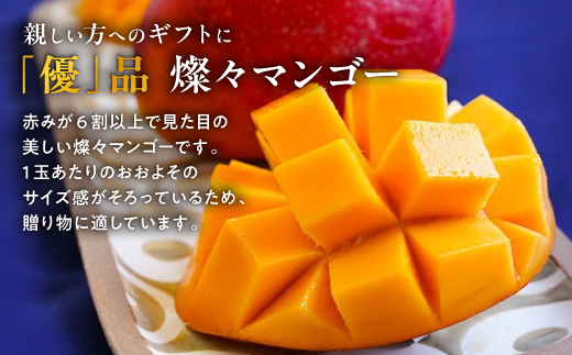 【2026年7月から順次発送・優品】燦々マンゴー1.0kg(2〜3玉)【配送不可地域：離島】【1619776】