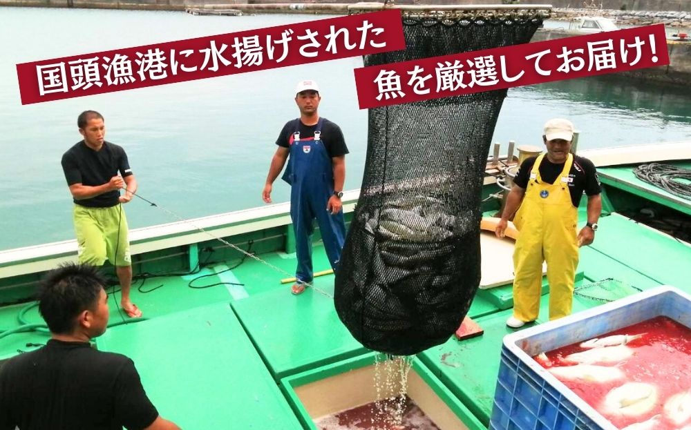 国頭漁協直送！鮮魚おまかせセット ３kg～海人からの贈り物～