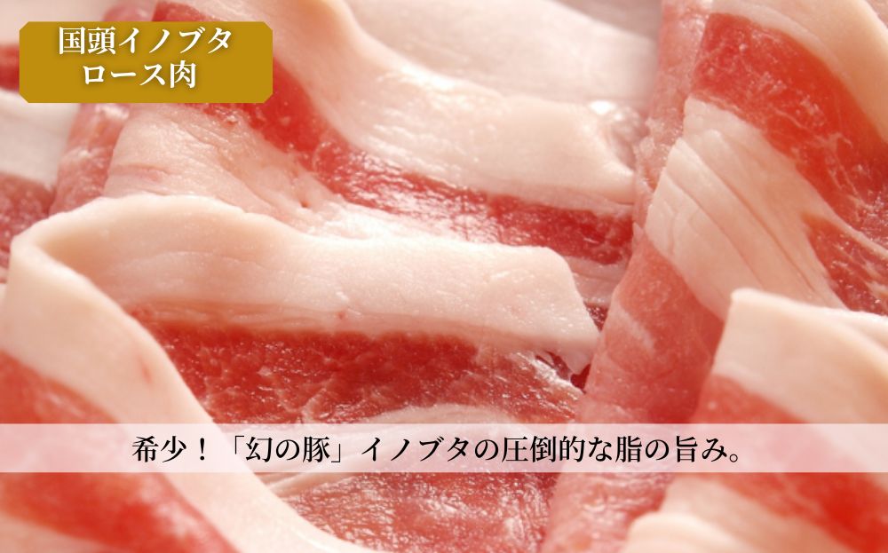 【定期便 全4回】生産農家を応援！国頭村のお肉づくし フルコース便