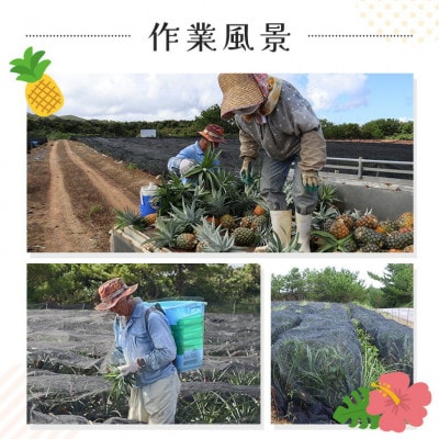 ã2026幎7æããé æ¬¡çºéããã€ãããã«ã®çé Nãã€ã³4çãé
éäžå¯å°åïŒé¢å³¶ãã1584608ã