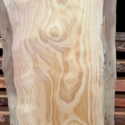 åžå°åçš®ãççæŸãäžææ¿(å¹
çŽ30ã40cmÃé·ãçŽ180cmÃåã¿çŽ2cm)å€©ç¶æšã1720676ã