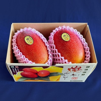 ã2026幎7æããé æ¬¡çºéã»åªåãçŠã
ãã³ãŽãŒ1.0kg(2ã3ç)ãé
éäžå¯å°åïŒé¢å³¶ãã1619776ã