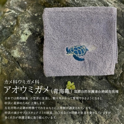 地域の自然を守るタオル やんばるの海と森を想う 3枚セット【1606929】