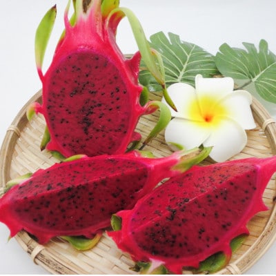 【発送月固定定期便】南国フルーツセット(パッションフルーツ&マンゴー&パイン&ドラゴンルーツ)全4回【配送不可地域：離島】【4081241】