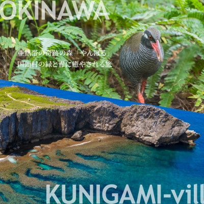 沖縄ツアー 沖縄本島最北やんばる国頭村 後から選べるWebカタログ旅行クーポン(300,000円分)【1684165】