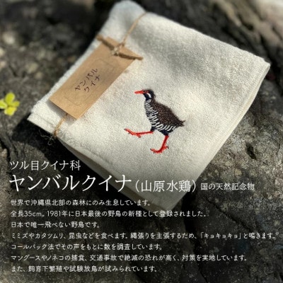 地域の自然を守るタオル やんばるの海と森を想う 3枚セット【1606929】