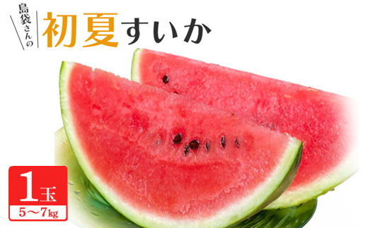 【先行受付・2026年6月上旬から順次発送】島袋さんの夏スイカ大玉 1玉(5.0〜7.0kg)【配送不可地域：離島】【1577669】