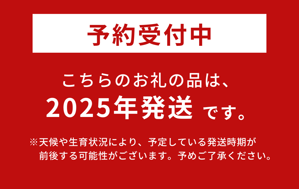 【先行予約/1月発送開始】＜全４回＞ 南国フルーツ定期便　