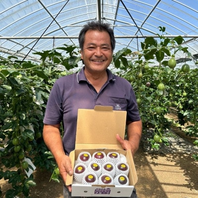 【2026年5月から順次発送】国頭村産パッションフルーツ1kg(10〜12玉)【1616926】