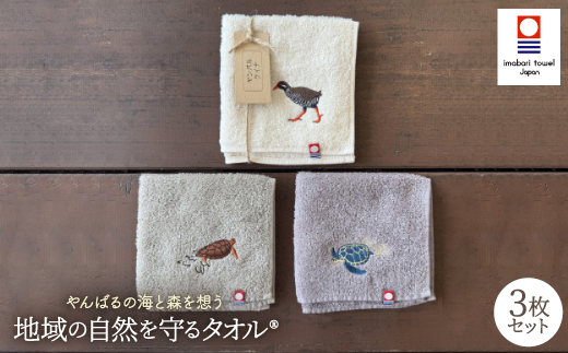 地域の自然を守るタオル やんばるの海と森を想う 3枚セット【1606929】