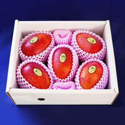 【2025年発送・優品】燦々マンゴー2.0kg(4〜6玉)【配送不可地域：離島】【1619777】