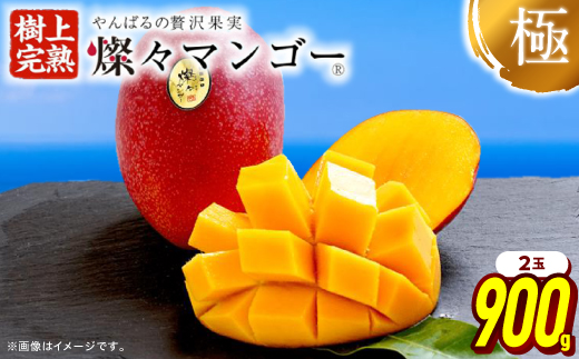 【2026年7月から順次発送・最高級ランク極】燦々マンゴー900g(2玉)【配送不可地域：離島】【1622439】