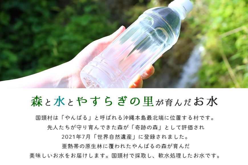 【3ヶ月定期便】やんばるの水 Flora【フローラ】500ml 24本　【ラベルレス/軟水】		