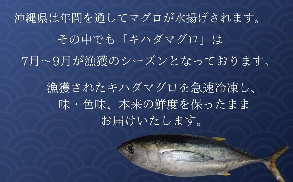 天然キハダマグロ(500ｇ) 【冷凍/柵】～海人からの贈り物～