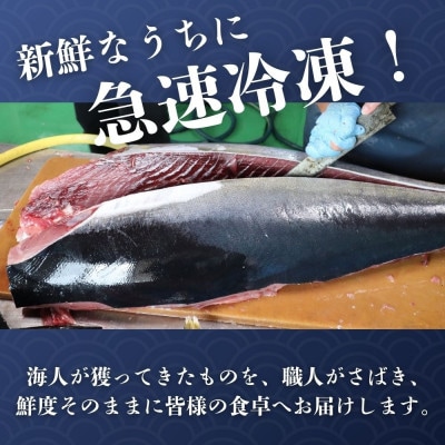 縲先イ也ク逵檎肇縲大、ゥ辟カ繧ュ繝上ム繝槭げ繝ュ 1kg縲宣埼∽ク榊庄蝨ー蝓滂シ夐屬蟲カ縲代1579281縲
