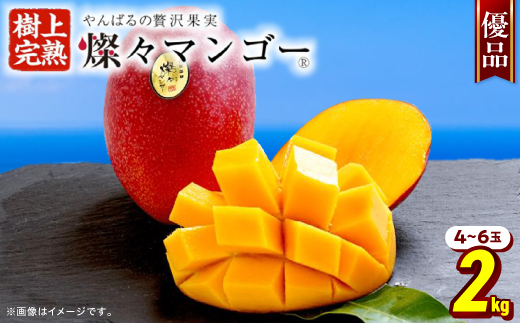 【2026年7月から順次発送・優品】燦々マンゴー2.0kg(4〜6玉)【配送不可地域：離島】【1619777】