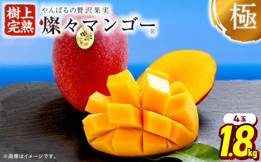 【2026年7月から順次発送・最高級ランク極】燦々マンゴー1.8kg(4玉)【配送不可地域：離島】【1622441】