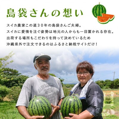 【先行受付・2026年8月中旬から順次発送】島袋さんの夏スイカ大玉 1玉(5.0〜7.0kg)【配送不可地域：離島】【1628646】