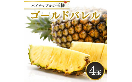 【2026年5月から順次発送・ハウス栽培】パイナップルの王様 ゴールドバレル4玉【配送不可地域：離島】【1608235】