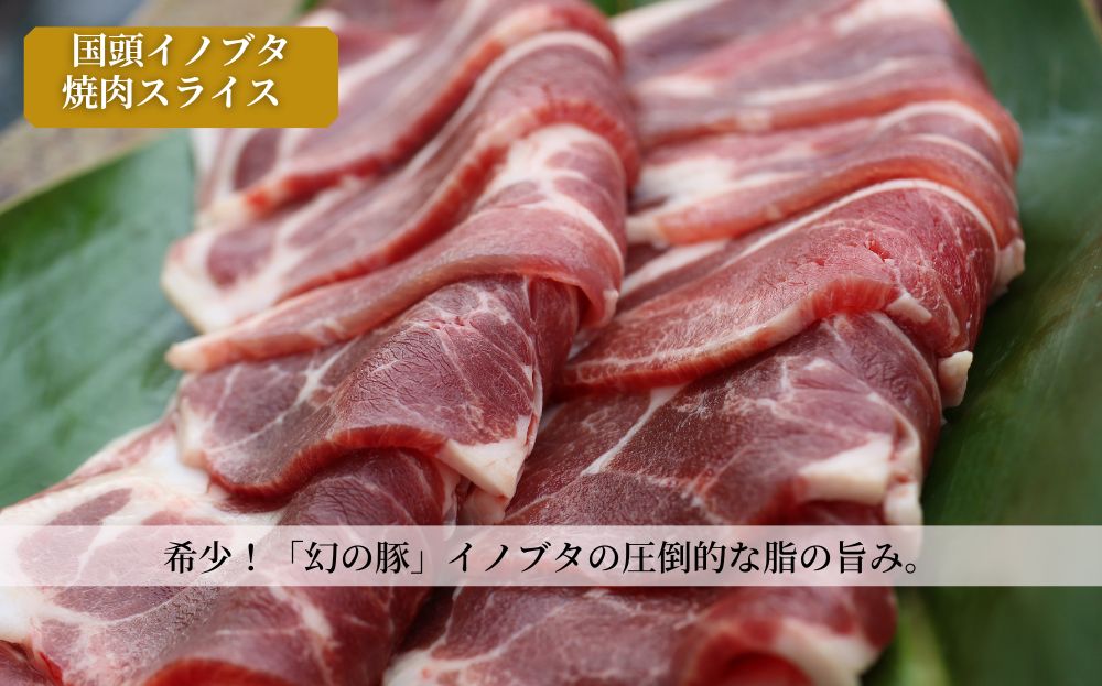 【定期便 全4回】生産農家を応援！国頭村のお肉づくし フルコース便