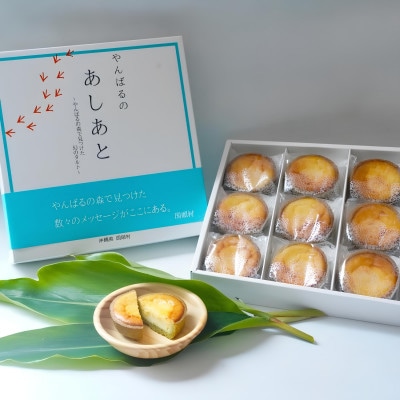 【国頭村産茶葉使用】日本一早い新茶「おくみどり茶」が香るチーズタルト 18個入(9個入×2箱)【配送不可地域：離島】【1692445】