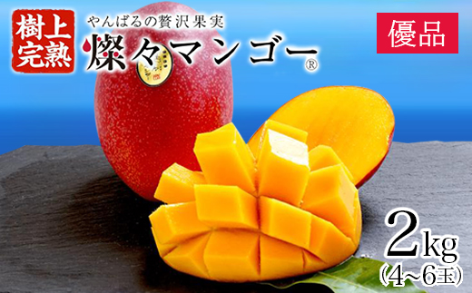 【2025年発送・優品】燦々マンゴー2.0kg(4〜6玉)【配送不可地域：離島】【1619777】