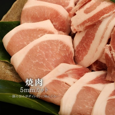 ããµãããšçŽçšéå®ããããããè± é£ã¹æ¯ã¹ã»ãã çŒèã»ããã¶ããã¶ èš1.6kgãé
éäžå¯å°åïŒé¢å³¶ãã1713192ã