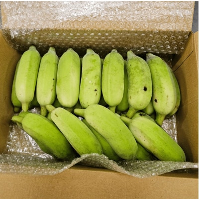 ãæ œå¹æéäžèŸ²è¬äžäœ¿çšãããã°ãããã1.5kg(10ã24æ¬)ã1578861ã