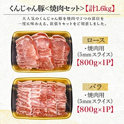 【ビール特産品セット】オリオン ザ・ドラフト&くんじゃん豚の焼肉【複数個口で配送】【配送不可地域：離島】【4014723】