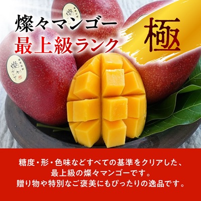 【2026年7月から順次発送・最高級ランク極】燦々マンゴー1.8kg(4玉)【配送不可地域：離島】【1622441】