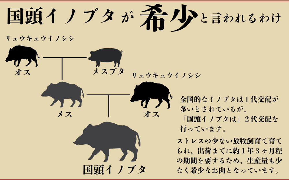 「国頭イノブタ」バラ・ロース（スライス）セット 2種食べ比べ 600g【毎⽉10セット限定】