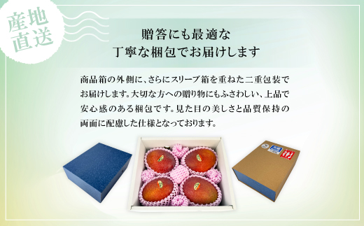 【2026年6月中旬から順次発送】贈答用のアップルマンゴー2kg【配送不可地域：離島】【1601772】