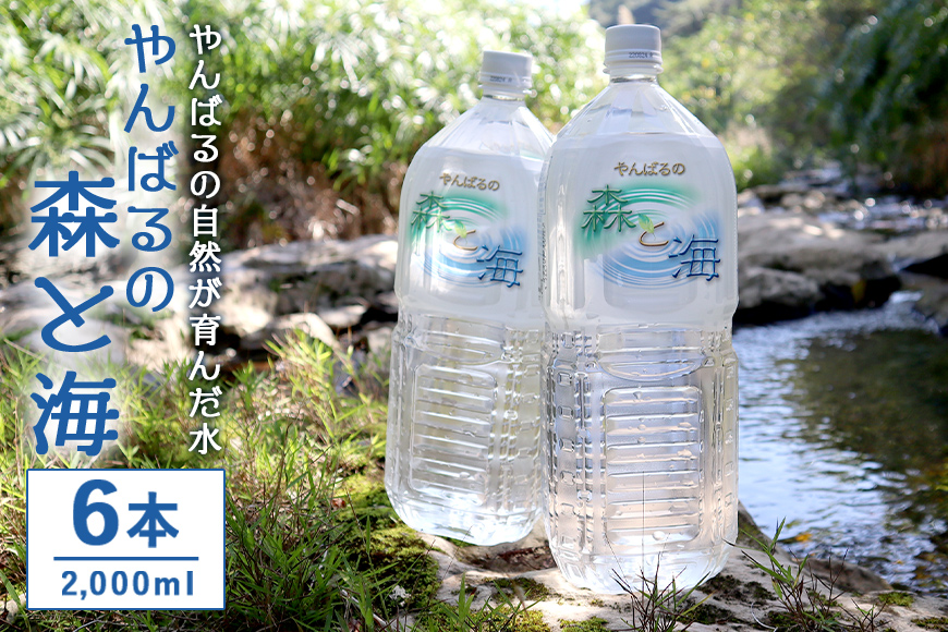 やんばるの水 「 森と海」　2000ml ６ 本	