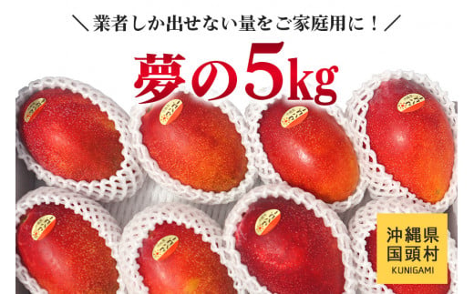 【数量限定/2025年発送】贅沢５kg！農家さん応援 完熟マンゴー《優品5Kg / 8～12玉》先行予約