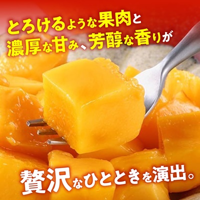 【2026年7月から順次発送・最高級ランク極】燦々マンゴー1.8kg(4玉)【配送不可地域：離島】【1622441】