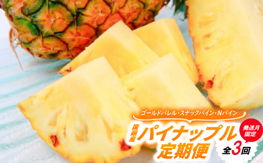 【発送月固定定期便】国頭産パイナップル3種セット(ゴールドバレル・スナックパイン・Nパイン)全3回【配送不可地域：離島】【4078649】