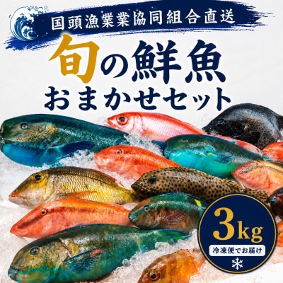 【国頭漁業協同組合直送】旬の鮮魚おまかせセット 3kg(4〜8種類)【配送不可地域：離島】【1738197】