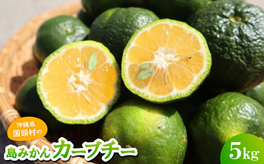 【2026年10月から順次発送】国頭村産の島みかん カーブチー5kg 沖縄在来柑橘 爽やかな香り【1618470】