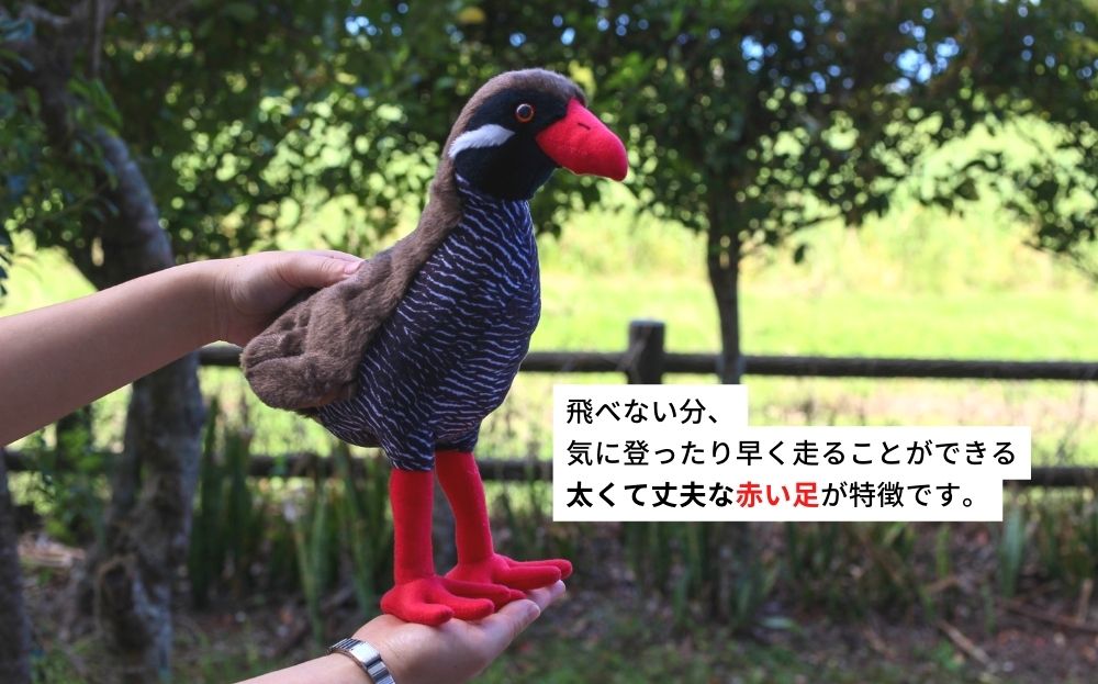 ヤンバルクイナ【天然記念物/日本固有種／ぬいぐるみ】～やんばるの生き物シリーズ～