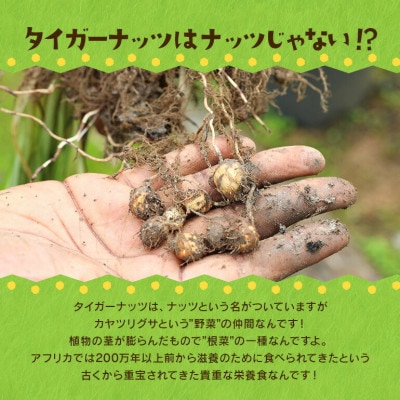 【毎月定期便】タイガーナッツ グラノーラ(プレーン)110g×5袋全3回【4062998】