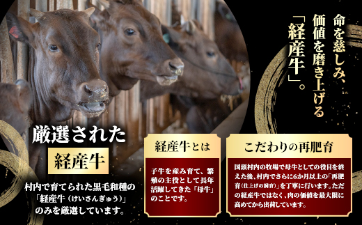 やんばるの自然が育んだ「黒毛和牛 経産牛」サーロイン 合計600g(200g×3パック)【配送不可地域：離島】【1716773】
