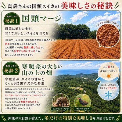ã2027幎2æäžæ¬ããé æ¬¡çºéãå³¶è¢ããã®å¬ã¹ã€ã« 2ç(1ç3.5ã4.5kg)ãé
éäžå¯å°åïŒé¢å³¶ãã1577666ã
