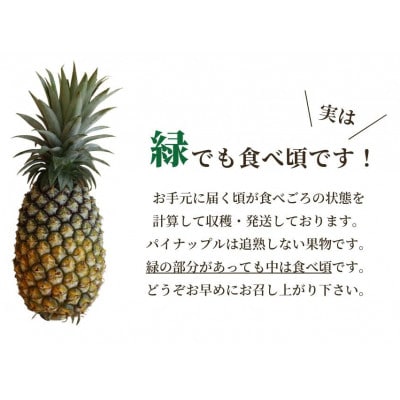 【2026年5月から順次発送・ハウス栽培】パイナップルの王様 ゴールドバレル2玉【配送不可地域：離島】【1608233】